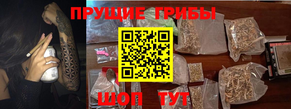 Псилоцибиновые грибы мицелий  Вход с VPN  Черногорск 