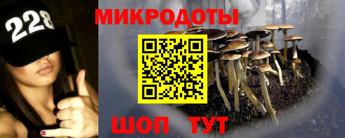 Галлюциногенные грибы прущие грибы Черногорск
